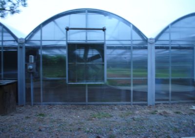 Heids Greenhouses After (Rimol)
